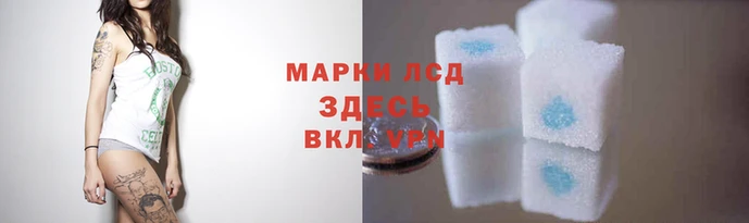 индика Алзамай