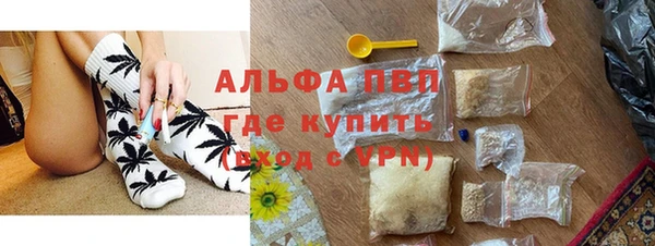индика Алзамай