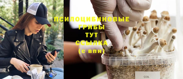 индика Алзамай