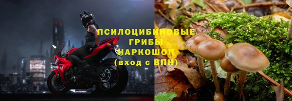 таблы Пролетарск