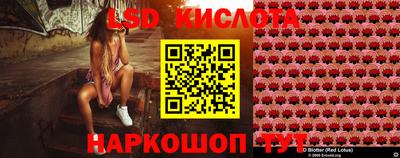трава Камышлов