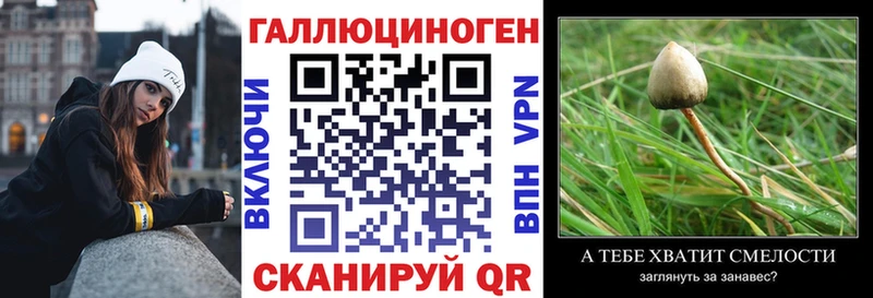 Галлюциногенные грибы Cubensis  нарко площадка Telegram  Минусинск 