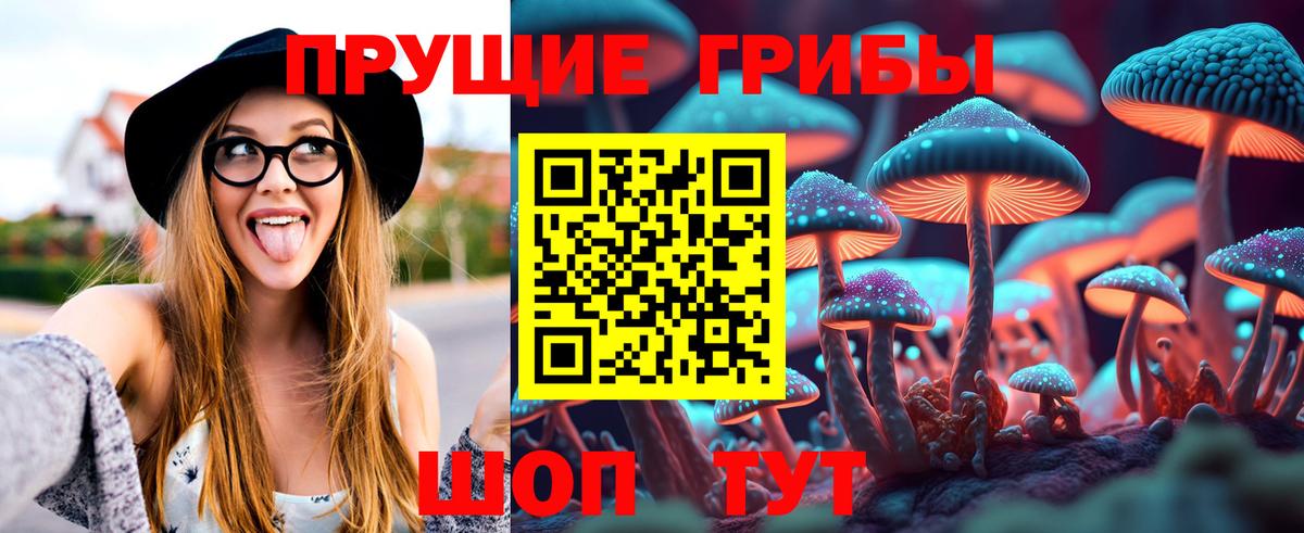 Минусинск  Псилоцибиновые грибы Magic Shrooms  цена наркотик  Вход с VPN 